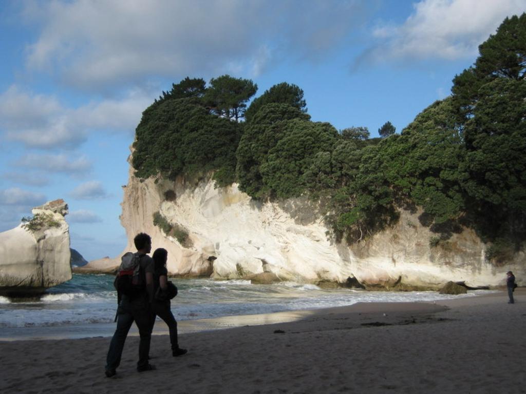 Cathedral Cove Apartment Hahei Rom bilde